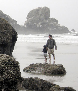 Beachwalks