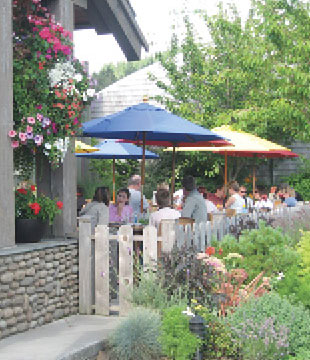 Cafes and Restaurants