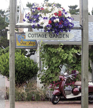 Colorful Shops and Galleries